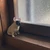 みやべ