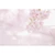 sousou2025