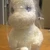 モチヅキ