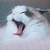 SPIKEDENG