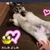 よっちゃん