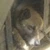 あかべこ