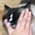 はし