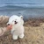 るん