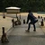 ぽんぽん太郎