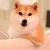 暇つぶし