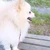 えりか