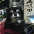 やまけん