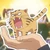 toratiger