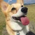 かずほ
