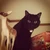 ハイツ黒猫
