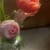 91ilri_