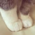 satomi