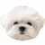 mt