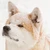 りば