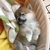 ひかる