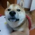 ゆき