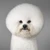 くろあゆ