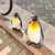 サクラ前線