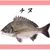 ゆき