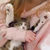しおり