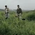 フレッチ