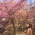 なぎゃお