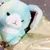 さきもち