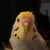 ほとり