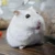 てふこ