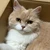 qsu_jjl14