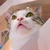まる