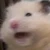 ハムチャン
