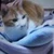 hirosk