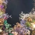 ふうた