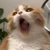 動く点p