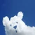 PolarBear