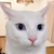 roku