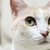 Mina