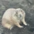 あんころおもち