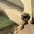 doppy