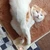 ぴかるん