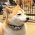 ゆうと