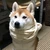ぽち