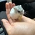 ひーちゃん