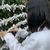 あずみ