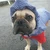 Buster