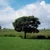 outsideview