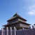 かわやなぎ