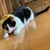 ヨナまる